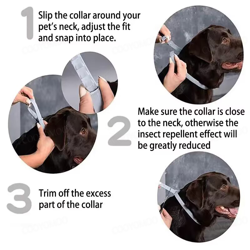 Dog Anti Flea And Tick Collars - Pet Immune Pir Sensor recensione e prezzo