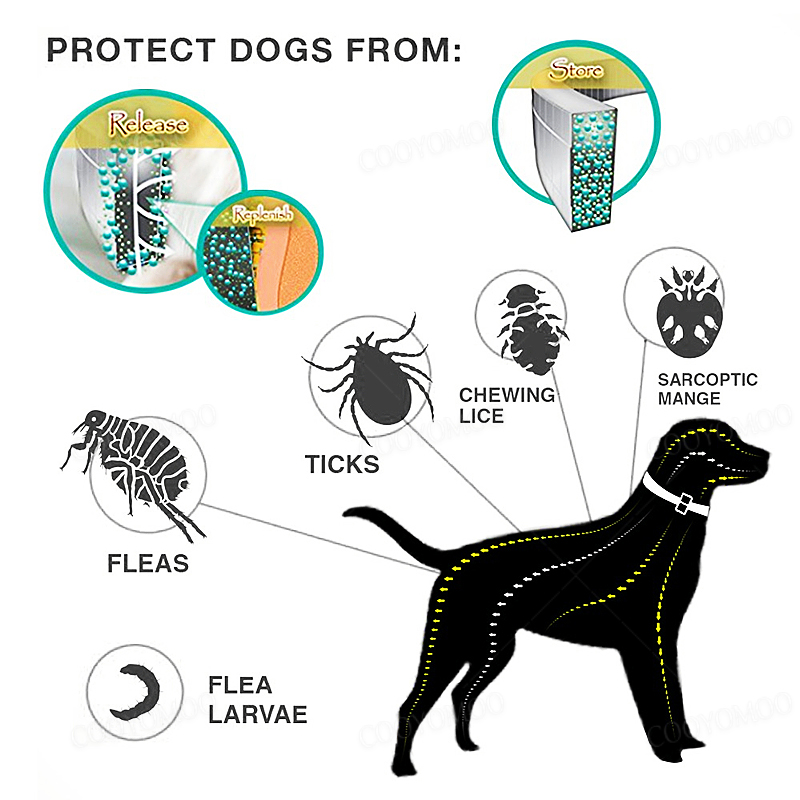 Dog Anti Flea And Tick Collars - Pet Immune Pir Sensor recensione e prezzo