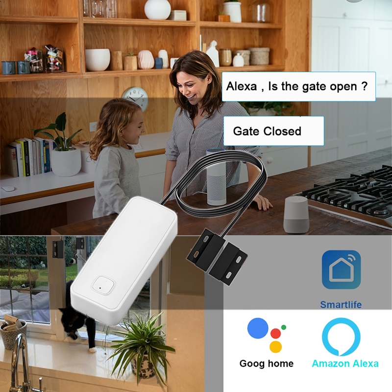 Smart Door Window Magnetic Det - Home Security With Ai recensione e prezzo