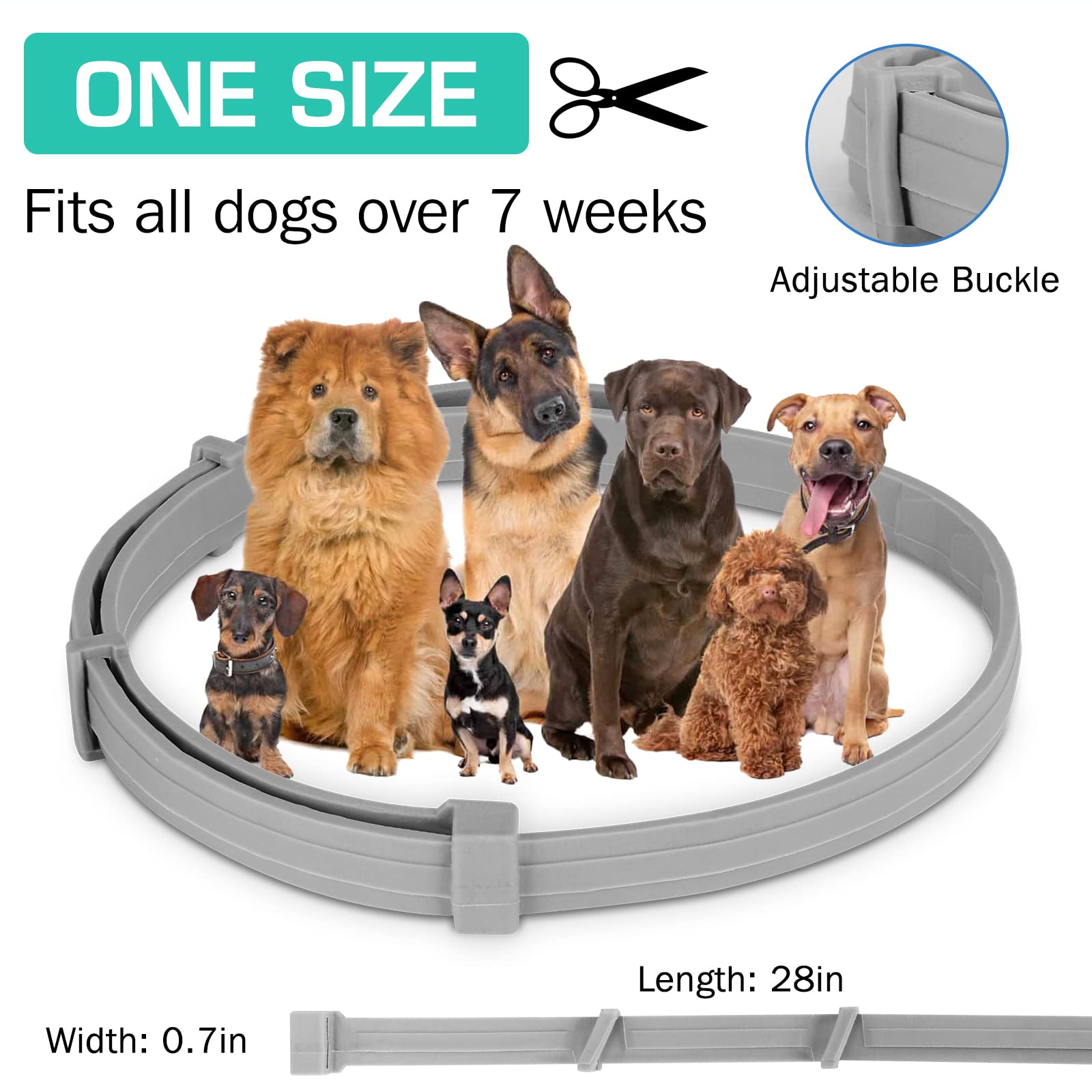 38/70CM Pet Anti Flea Ticks An - Pet Immune Pir Sensor recensione e prezzo