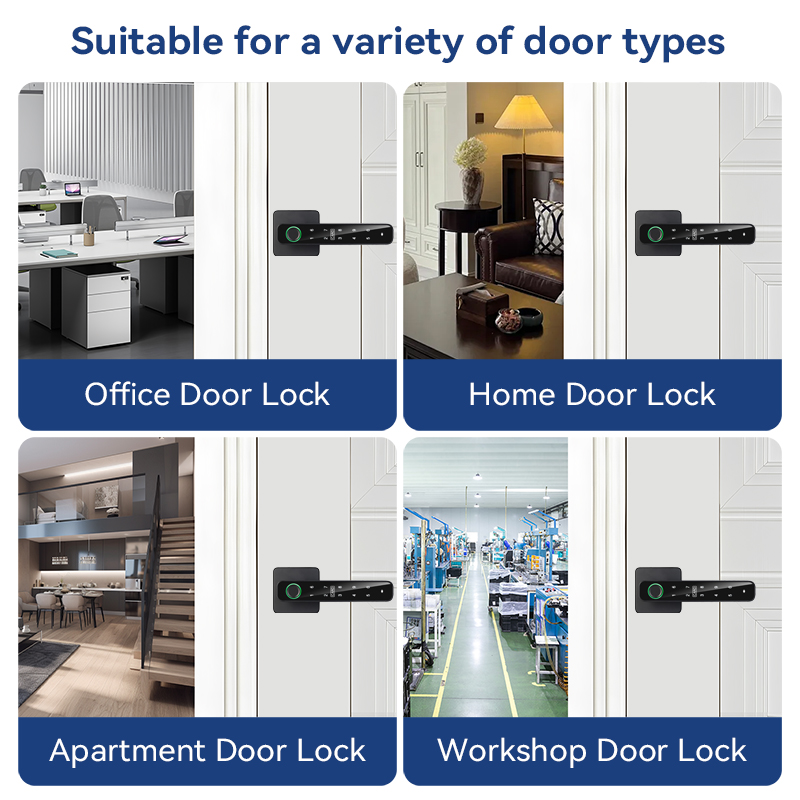 XSDTS Tuya Handle Fingerprint  - Home Security For Apartments recensione e prezzo