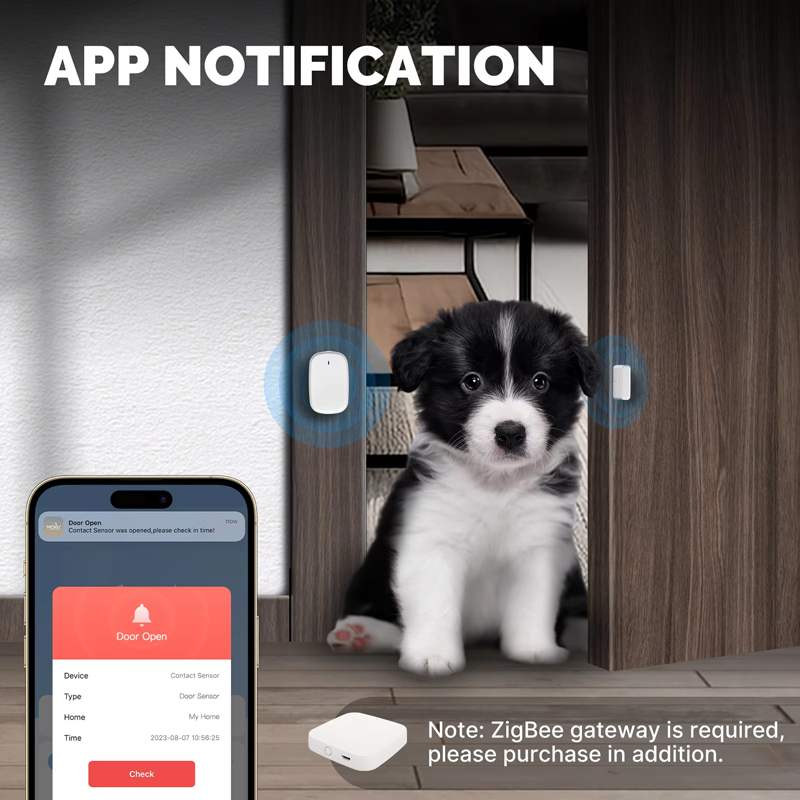 MOES Tuya ZigBee Smart Window  - Home Security With Ai recensione e prezzo