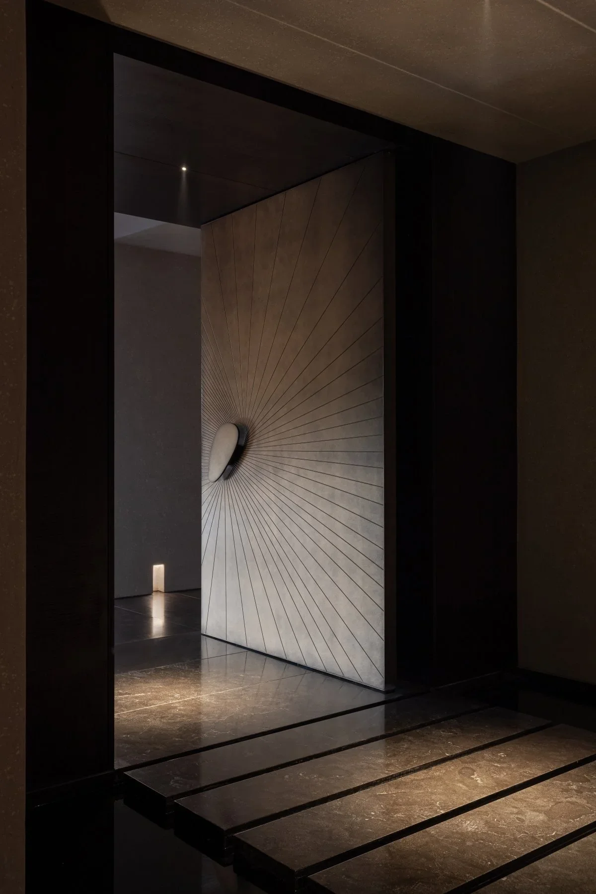 Pivot Doors for Security Exter - Home Security Front Door recensione e prezzo