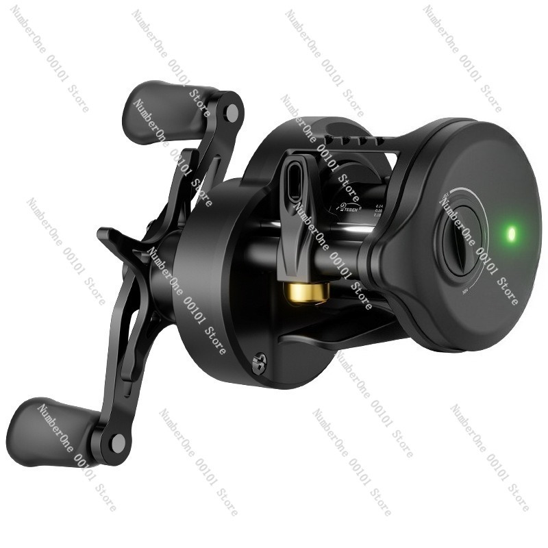 Electronic Magnetic Brake Fish - Home Security Electronics recensione e prezzo