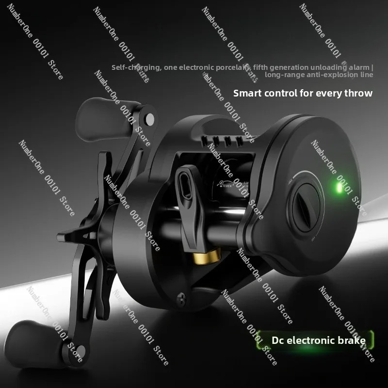Electronic Magnetic Brake Fish - Home Security Electronics recensione e prezzo