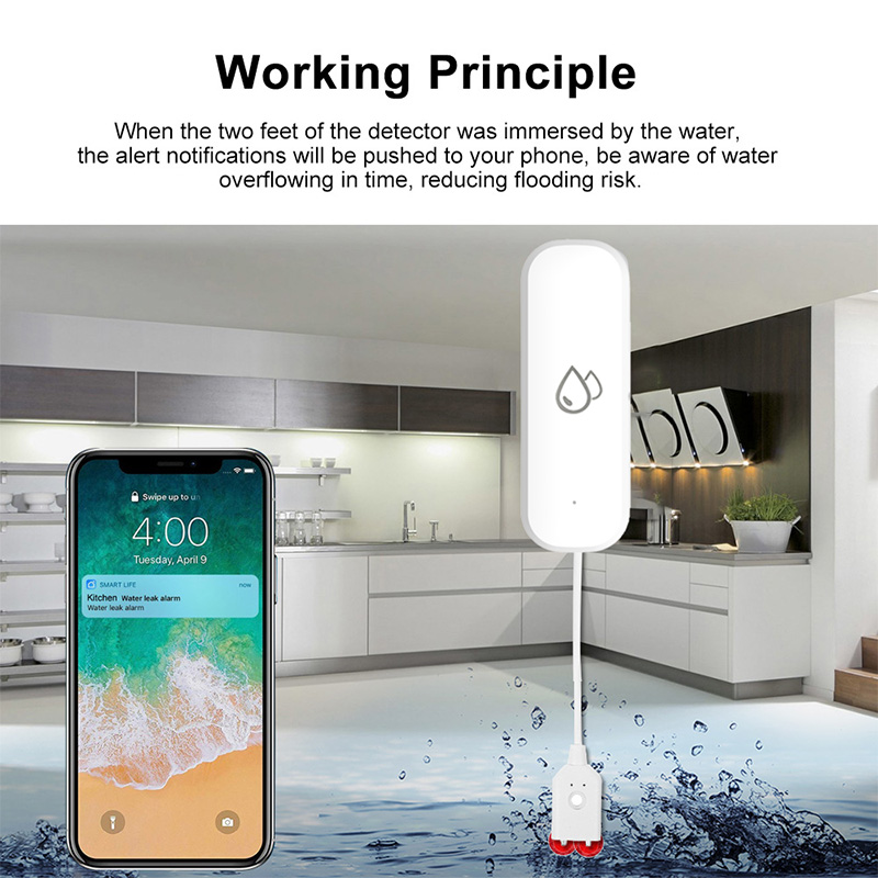 Tuya WiFi Water Leakage Alarm  - Home Security Monitoring recensione e prezzo