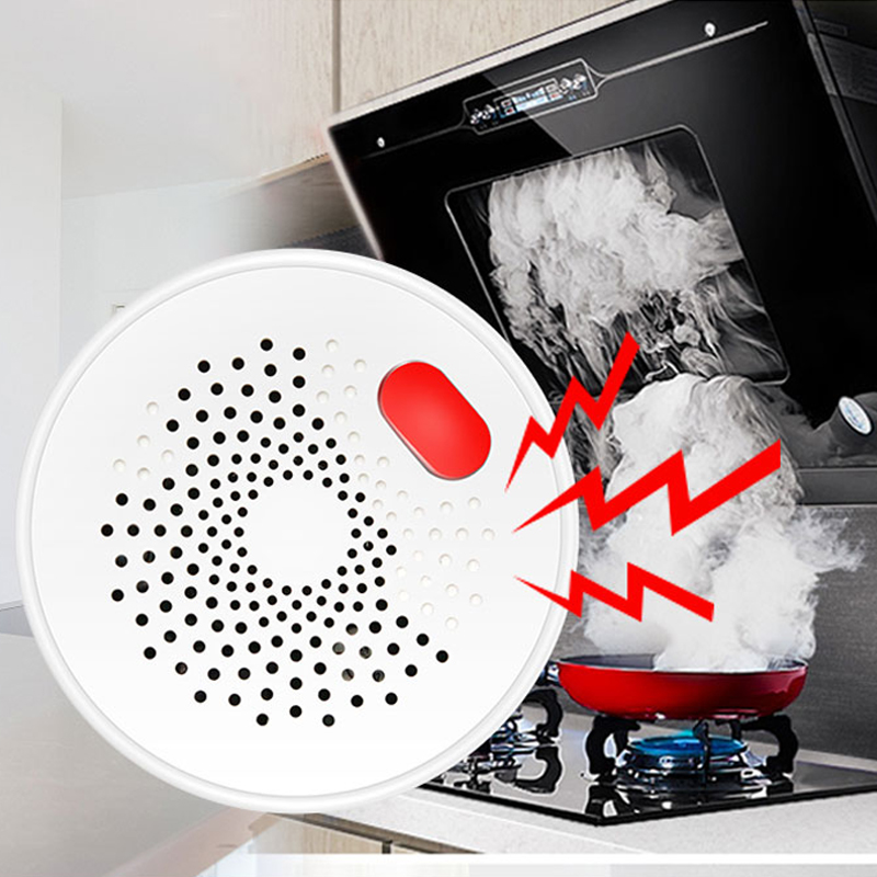 Tuya Smart Home Wifi Natural G - Home Security With Ai recensione e prezzo