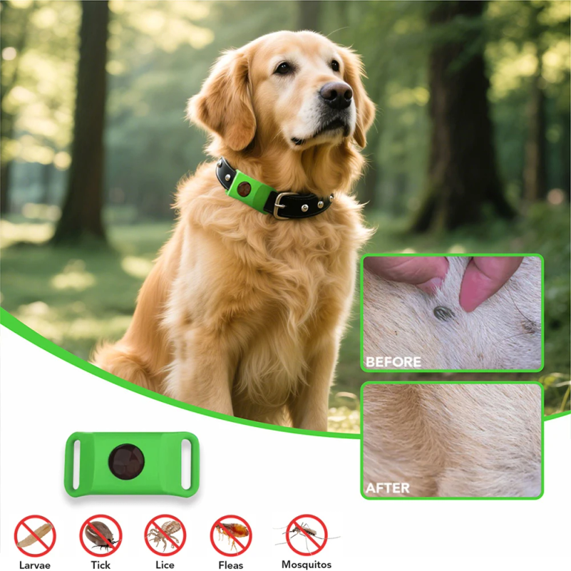 Natural Anti-Flea & Tick Penda - Pet Immune Pir Sensor recensione e prezzo