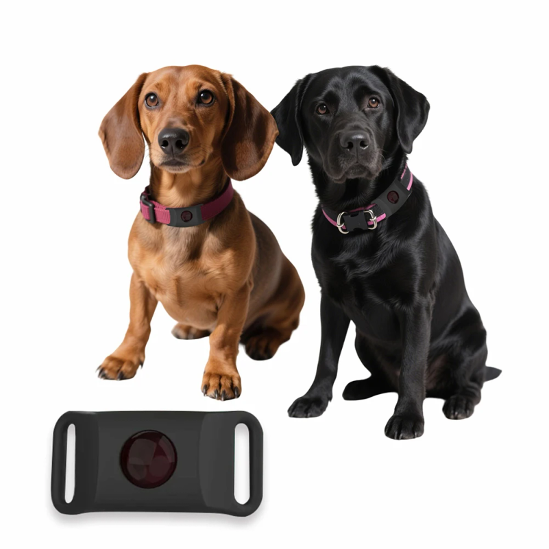 Natural Anti-Flea & Tick Penda - Pet Immune Pir Sensor recensione e prezzo