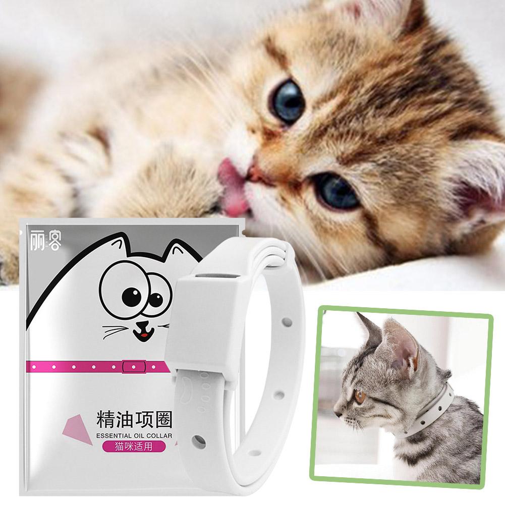 Retractable Pet Products Flea  - Pet Immune Pir Sensor recensione e prezzo