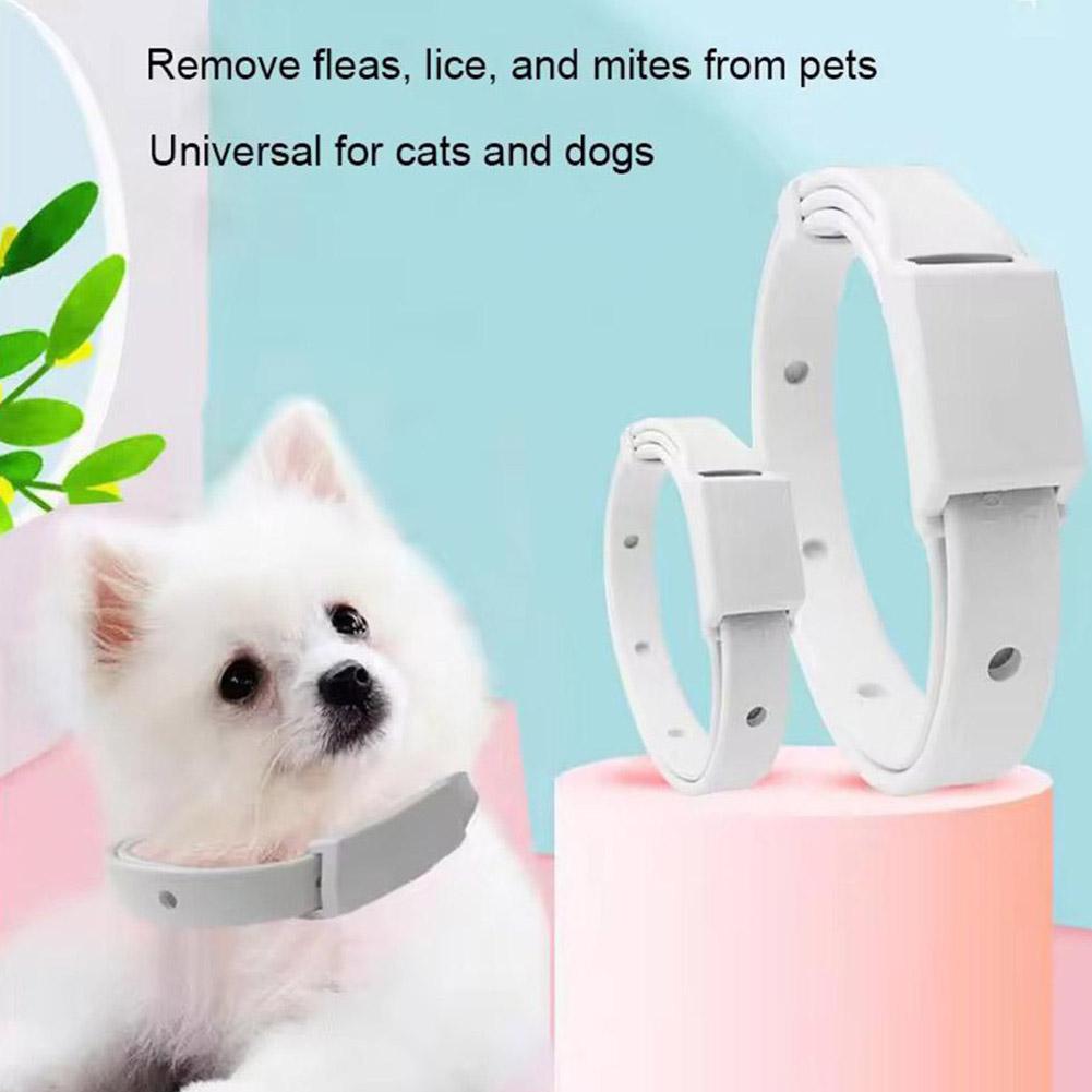 Retractable Pet Products Flea  - Pet Immune Pir Sensor recensione e prezzo