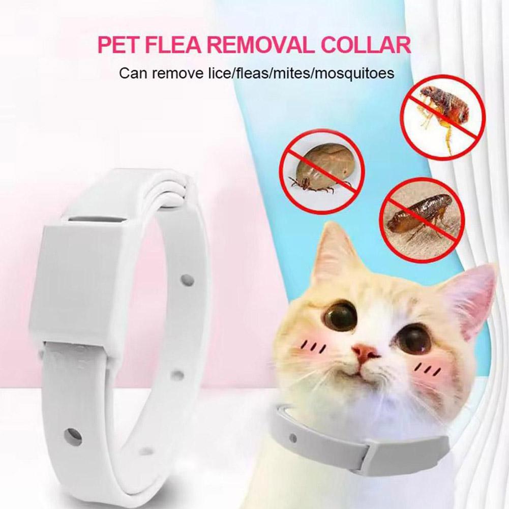 Retractable Pet Products Flea  - Pet Immune Pir Sensor recensione e prezzo