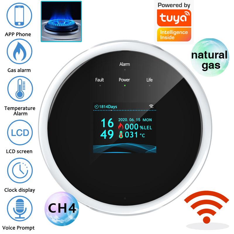 2.4G WiFi Gas Alarm Sensor Com - Home Security With Ai recensione e prezzo
