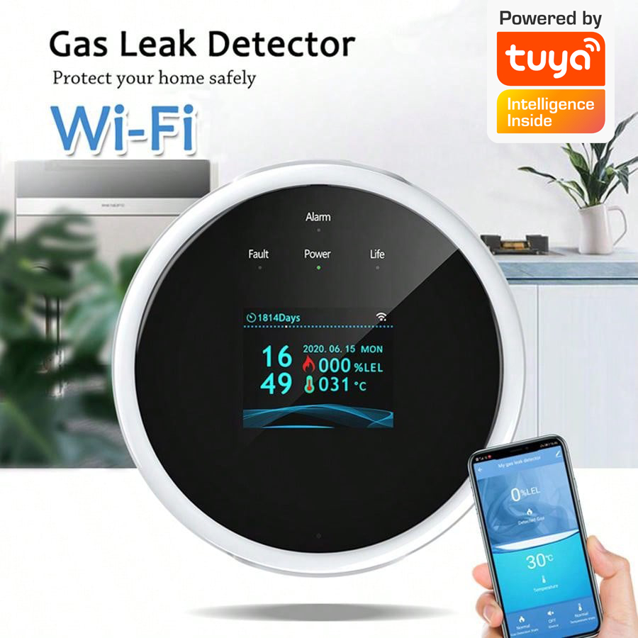 2.4G WiFi Gas Alarm Sensor Com - Home Security With Ai recensione e prezzo