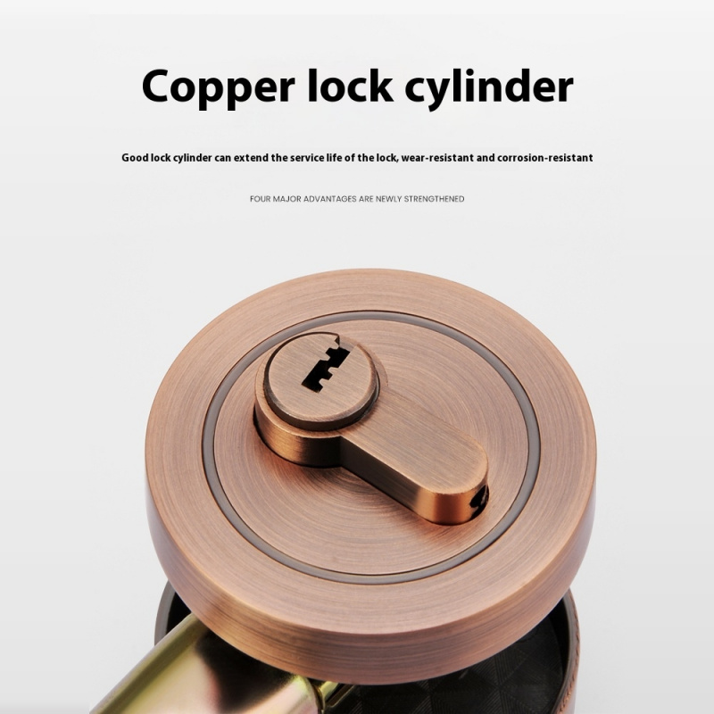 Copper Door Lock Cylinder Chro - Home Security Front Door recensione e prezzo