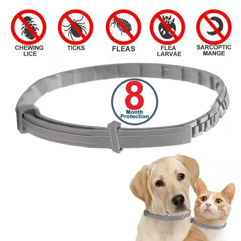 Dog Anti Flea And Tick Cat Col - Pet Immune Pir Sensor recensione e prezzo
