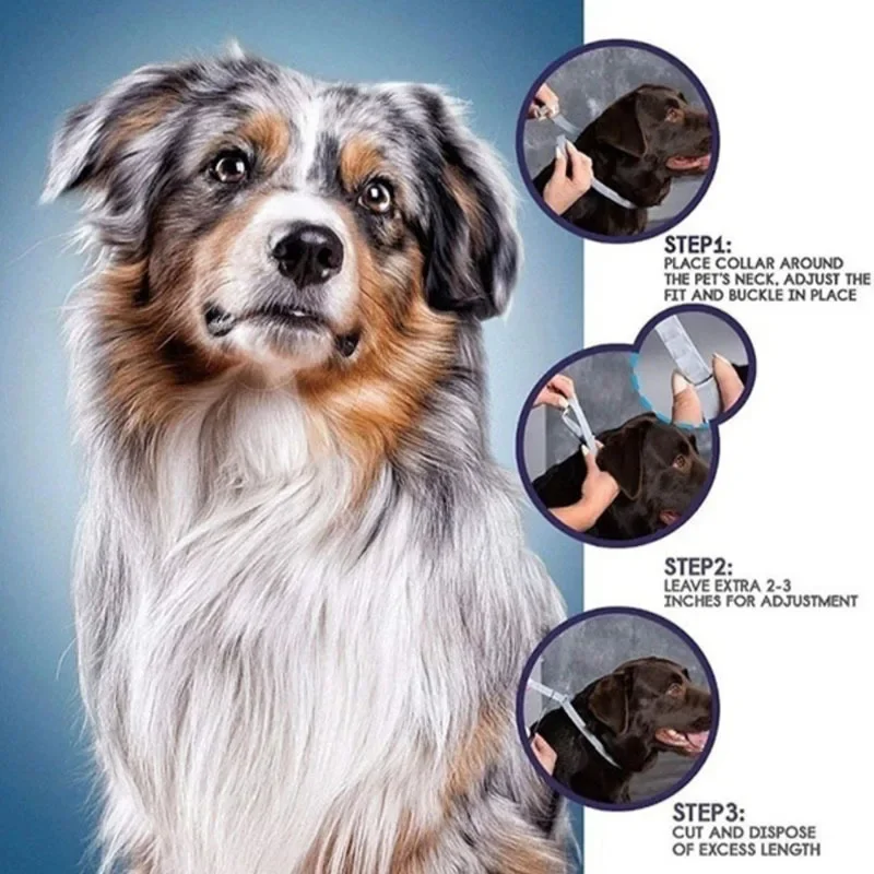 Dog Anti Flea And Tick Cat Col - Pet Immune Pir Sensor recensione e prezzo