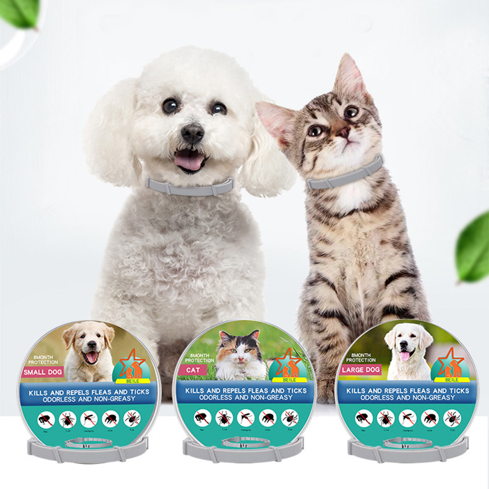 Flea Collar 8 Months Protectio - Pet Immune Pir Sensor recensione e prezzo