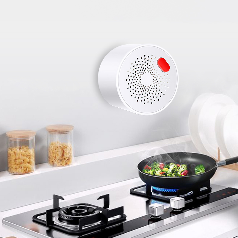 Tuya Smart Home Wifi Natural G - Home Security With Ai recensione e prezzo