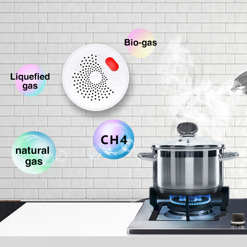 Tuya Smart Home Wifi Natural G - Home Security With Ai recensione e prezzo