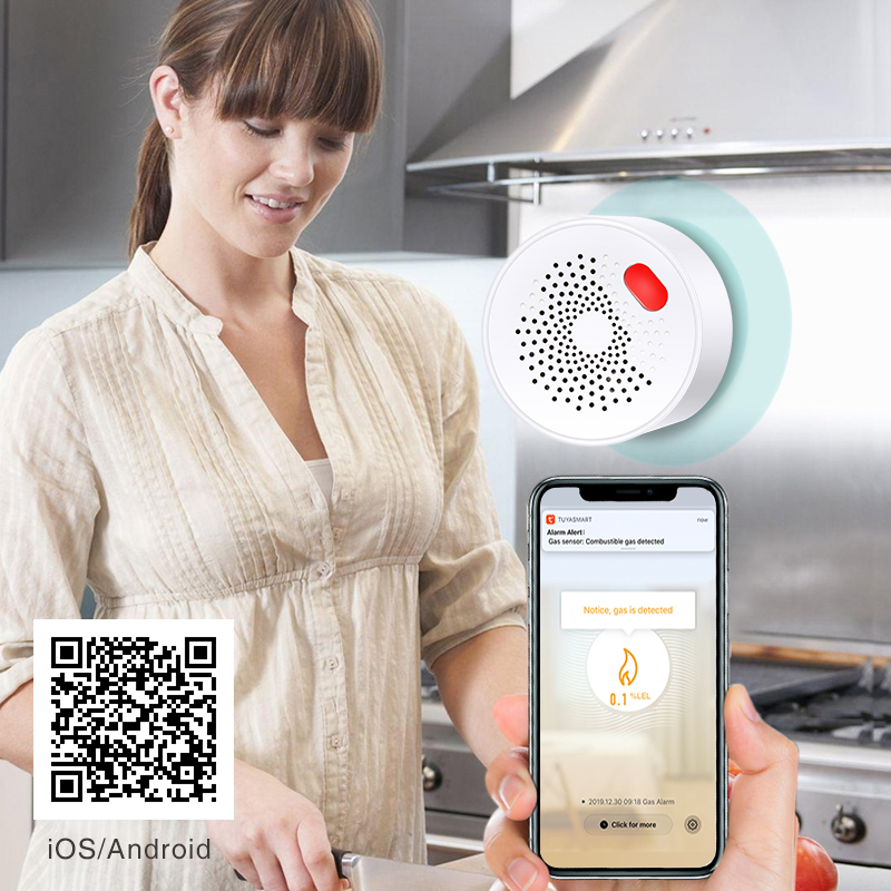 Tuya Smart Home Wifi Natural G - Home Security With Ai recensione e prezzo